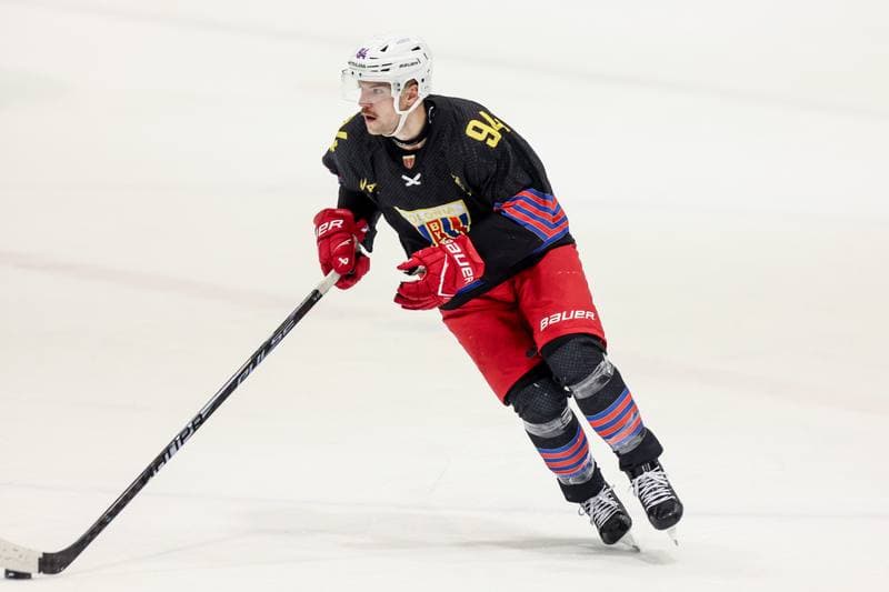 Ice Hockey. Tauron Hokej Liga. JKH GKS Jastrzebie - BS Polonia Bytom. 16.11.2025