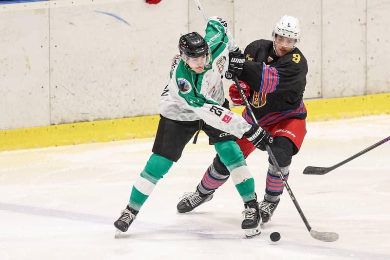 Ice Hockey. Tauron Hokej Liga. JKH GKS Jastrzebie - BS Polonia Bytom. 16.11.2025