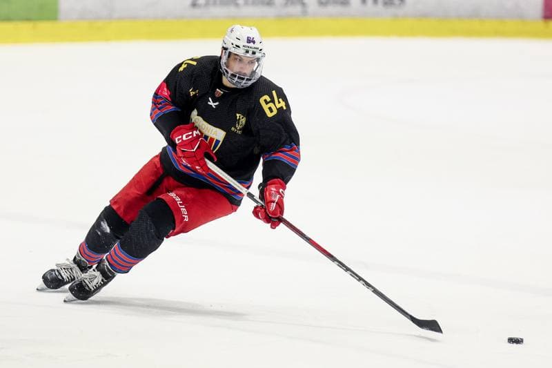 Ice Hockey. Tauron Hokej Liga. JKH GKS Jastrzebie - BS Polonia Bytom. 16.11.2025