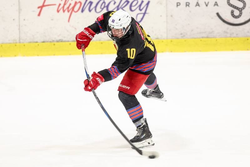Ice Hockey. Tauron Hokej Liga. JKH GKS Jastrzebie - BS Polonia Bytom. 16.11.2025