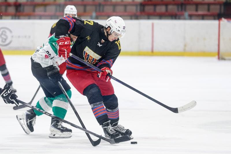 Ice Hockey. Tauron Hokej Liga. JKH GKS Jastrzebie - BS Polonia Bytom. 16.11.2025