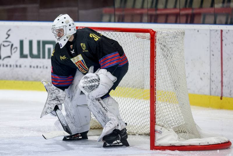 Ice Hockey. Tauron Hokej Liga. JKH GKS Jastrzebie - BS Polonia Bytom. 16.11.2025