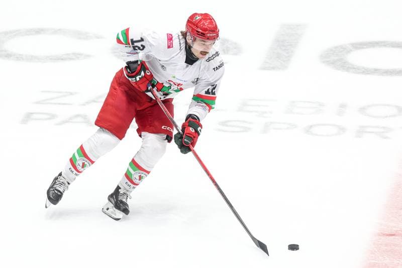 Ice Hockey. Tauron Hokej Liga. ECB Zaglebie Sosnowiec - GKS Tychy. 02.12.2025