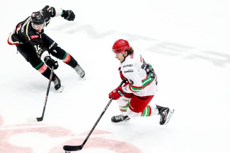 Ice Hockey. Tauron Hokej Liga. ECB Zaglebie Sosnowiec - GKS Tychy. 02.12.2025
