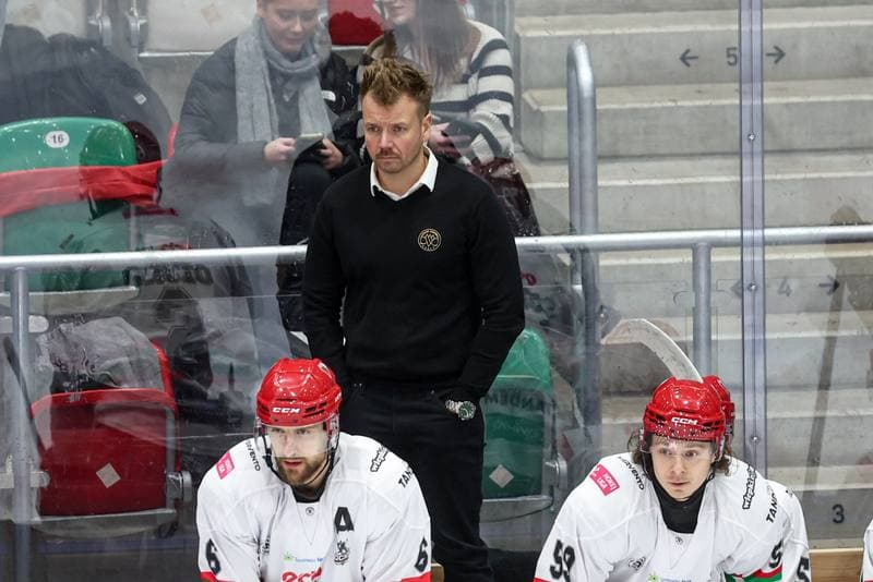 Ice Hockey. Tauron Hokej Liga. ECB Zaglebie Sosnowiec - GKS Tychy. 02.12.2025