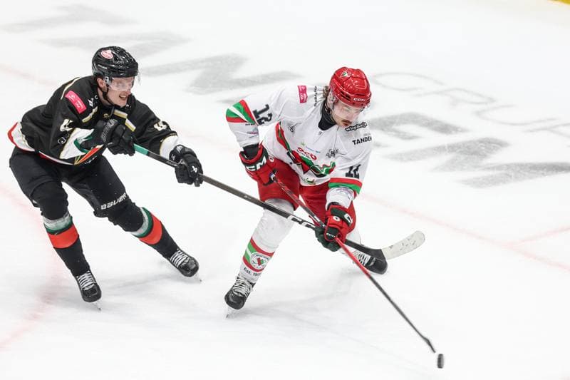 Ice Hockey. Tauron Hokej Liga. ECB Zaglebie Sosnowiec - GKS Tychy. 02.12.2025