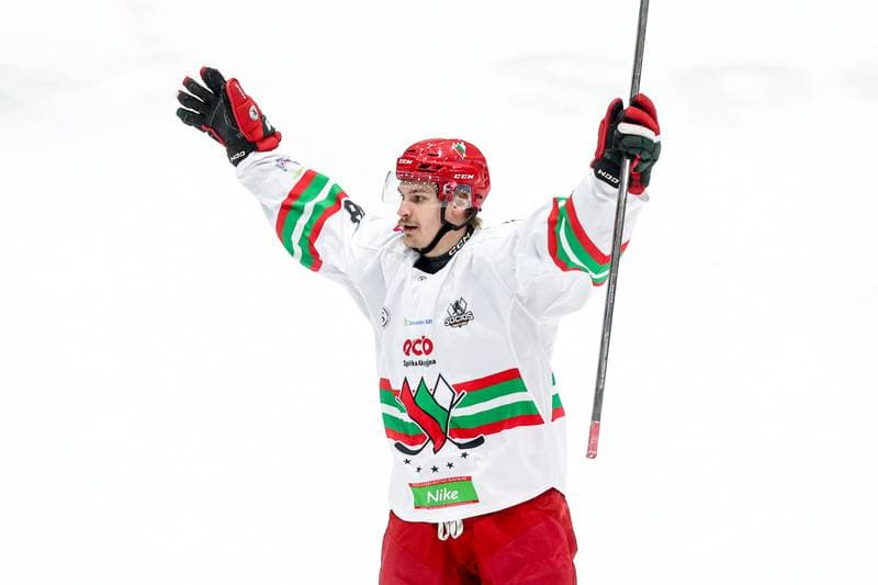 Ice Hockey. Tauron Hokej Liga. ECB Zaglebie Sosnowiec - GKS Tychy. 02.12.2025