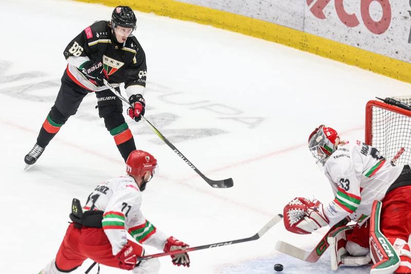 Ice Hockey. Tauron Hokej Liga. ECB Zaglebie Sosnowiec - GKS Tychy. 02.12.2025