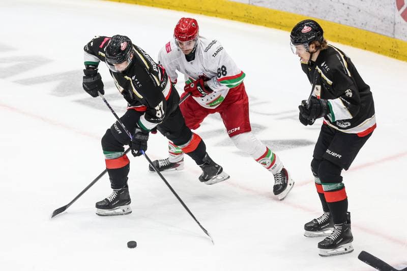 Ice Hockey. Tauron Hokej Liga. ECB Zaglebie Sosnowiec - GKS Tychy. 02.12.2025