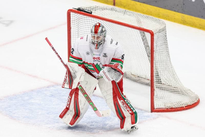Ice Hockey. Tauron Hokej Liga. ECB Zaglebie Sosnowiec - GKS Tychy. 02.12.2025