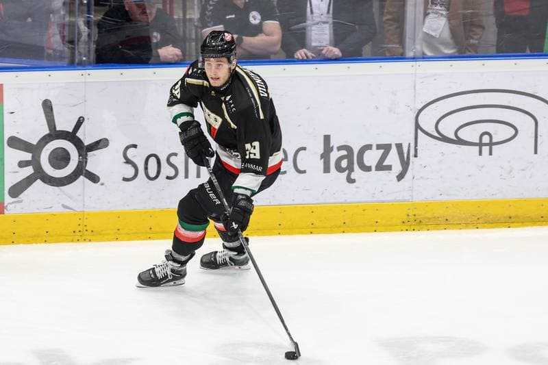 Ice Hockey. Tauron Hokej Liga. ECB Zaglebie Sosnowiec - GKS Tychy. 02.12.2025
