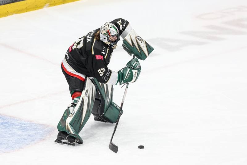 Ice Hockey. Tauron Hokej Liga. ECB Zaglebie Sosnowiec - GKS Tychy. 02.12.2025