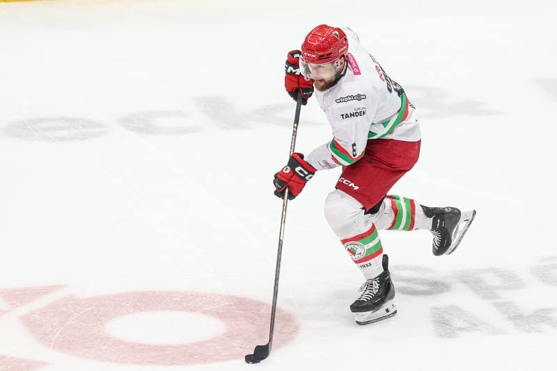Ice Hockey. Tauron Hokej Liga. ECB Zaglebie Sosnowiec - GKS Tychy. 02.12.2025