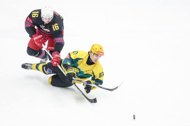 Ice Hockey. Tauron Hokej Liga. GKS Katowice - BS Polonia Bytom. 20.02.2026
