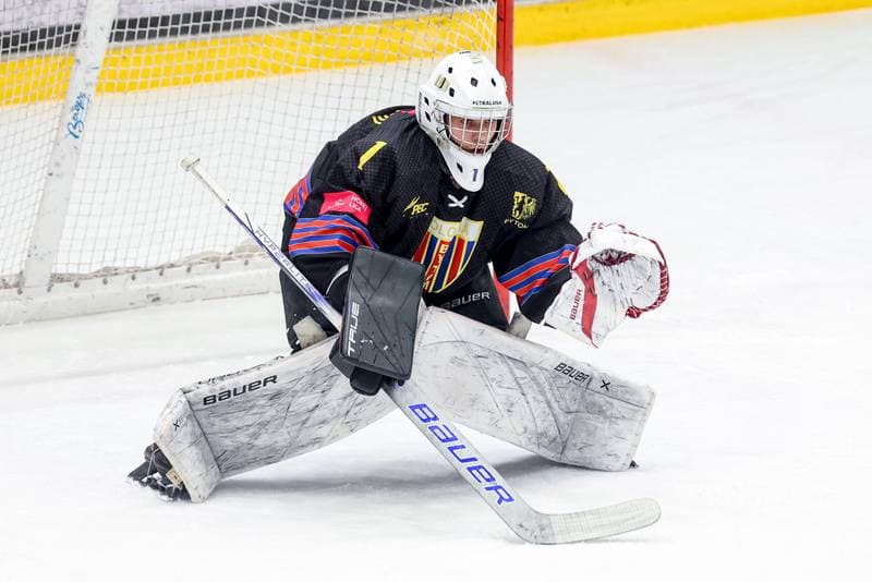 Ice Hockey. Tauron Hokej Liga. GKS Katowice - BS Polonia Bytom. 20.02.2026