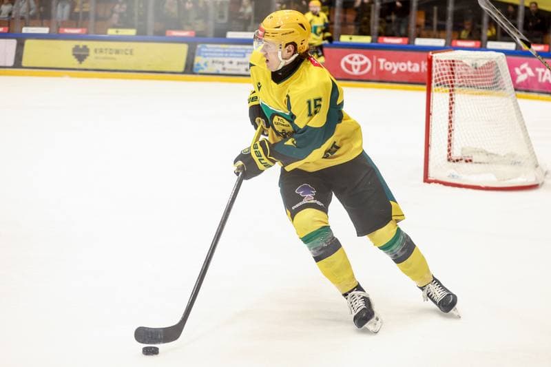 Ice Hockey. Tauron Hokej Liga. GKS Katowice - JKH GKS Jastrzebie. 12.02.2026
