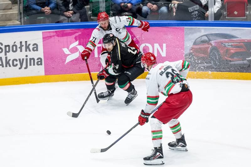 Ice Hockey. Tauron Hokej Liga. ECB Zaglebie Sosnowiec - GKS Tychy. 30.01.2026