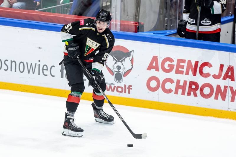 Ice Hockey. Tauron Hokej Liga. ECB Zaglebie Sosnowiec - GKS Tychy. 30.01.2026
