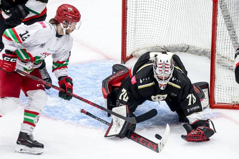 Ice Hockey. Tauron Hokej Liga. ECB Zaglebie Sosnowiec - GKS Tychy. 30.01.2026