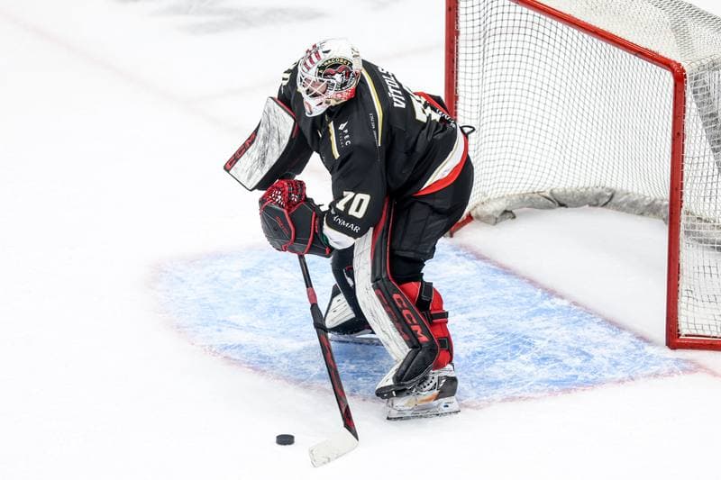 Ice Hockey. Tauron Hokej Liga. ECB Zaglebie Sosnowiec - GKS Tychy. 30.01.2026