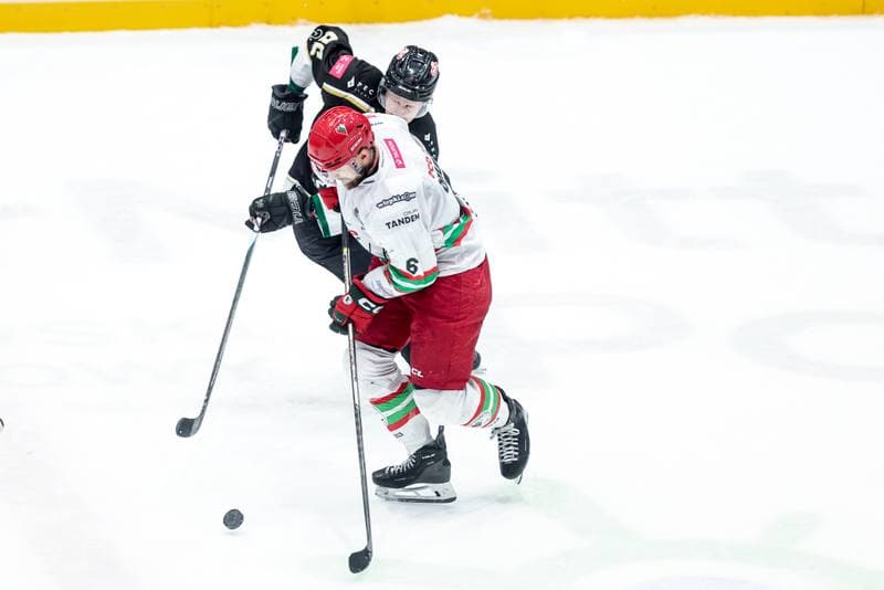 Ice Hockey. Tauron Hokej Liga. ECB Zaglebie Sosnowiec - GKS Tychy. 30.01.2026