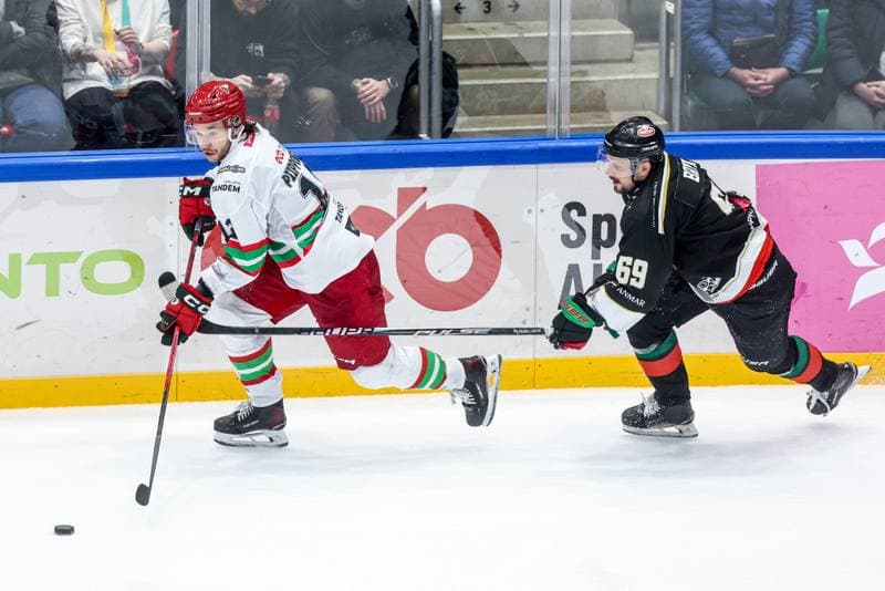 Ice Hockey. Tauron Hokej Liga. ECB Zaglebie Sosnowiec - GKS Tychy. 30.01.2026