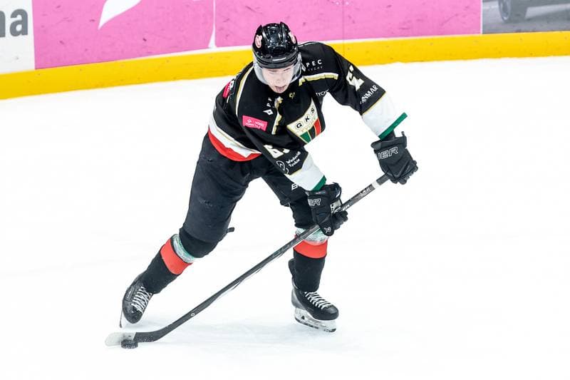Ice Hockey. Tauron Hokej Liga. ECB Zaglebie Sosnowiec - GKS Tychy. 30.01.2026
