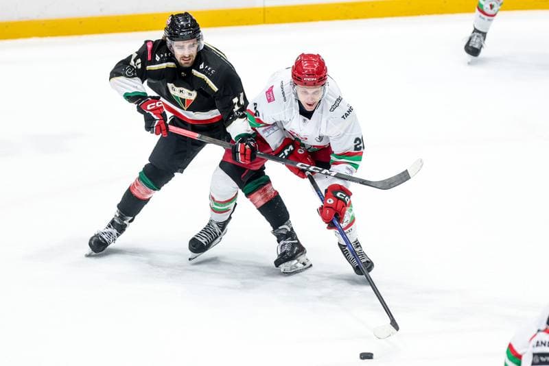 Ice Hockey. Tauron Hokej Liga. ECB Zaglebie Sosnowiec - GKS Tychy. 30.01.2026