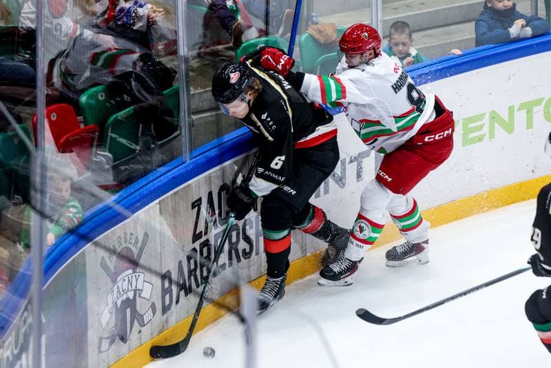 Ice Hockey. Tauron Hokej Liga. ECB Zaglebie Sosnowiec - GKS Tychy. 30.01.2026