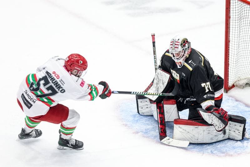 Ice Hockey. Tauron Hokej Liga. ECB Zaglebie Sosnowiec - GKS Tychy. 30.01.2026