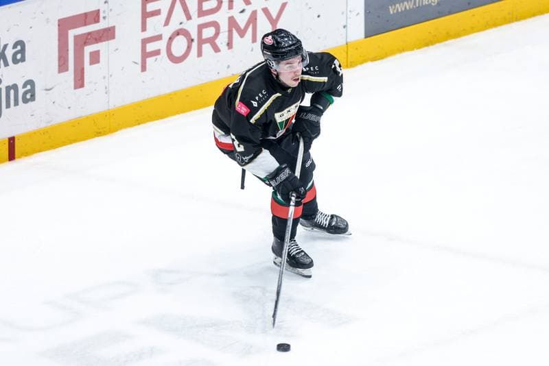 Ice Hockey. Tauron Hokej Liga. ECB Zaglebie Sosnowiec - GKS Tychy. 30.01.2026