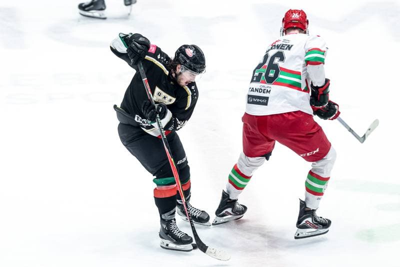 Ice Hockey. Tauron Hokej Liga. ECB Zaglebie Sosnowiec - GKS Tychy. 30.01.2026