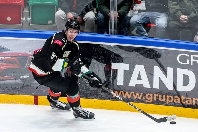 Ice Hockey. Tauron Hokej Liga. ECB Zaglebie Sosnowiec - GKS Tychy. 30.01.2026