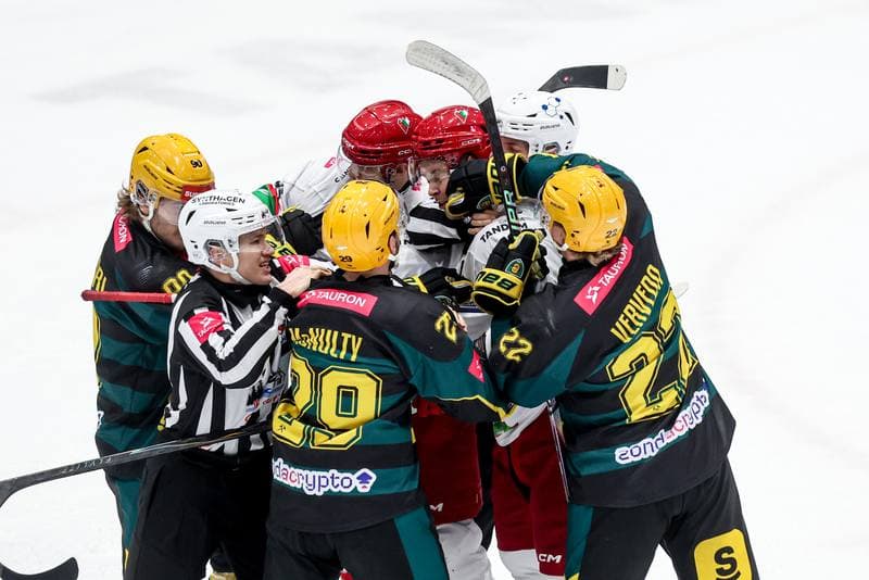 Ice Hockey. Tauron Hokej Liga. ECB Zaglebie Sosnowiec - GKS Katowice. 27.01.2026