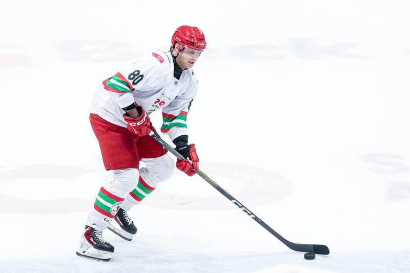 Ice Hockey. Tauron Hokej Liga. ECB Zaglebie Sosnowiec - JKH GKS Jastrzebie. 18.01.2026