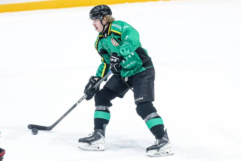 Ice Hockey. Tauron Hokej Liga. ECB Zaglebie Sosnowiec - JKH GKS Jastrzebie. 18.01.2026