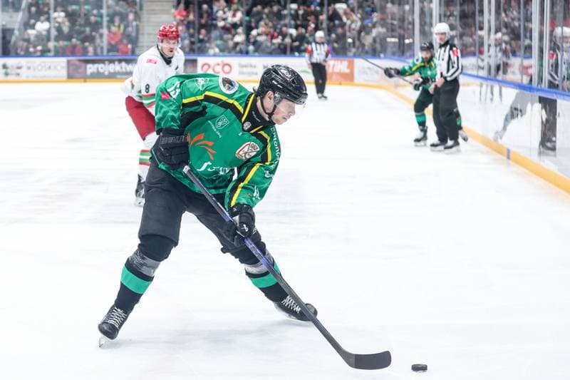 Ice Hockey. Tauron Hokej Liga. ECB Zaglebie Sosnowiec - JKH GKS Jastrzebie. 18.01.2026