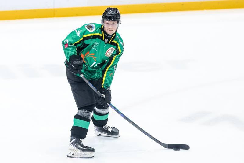 Ice Hockey. Tauron Hokej Liga. ECB Zaglebie Sosnowiec - JKH GKS Jastrzebie. 18.01.2026