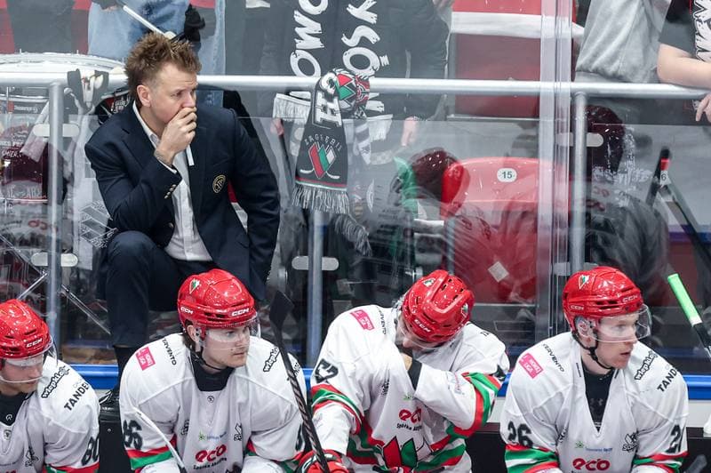 Ice Hockey. Tauron Hokej Liga. ECB Zaglebie Sosnowiec - JKH GKS Jastrzebie. 18.01.2026