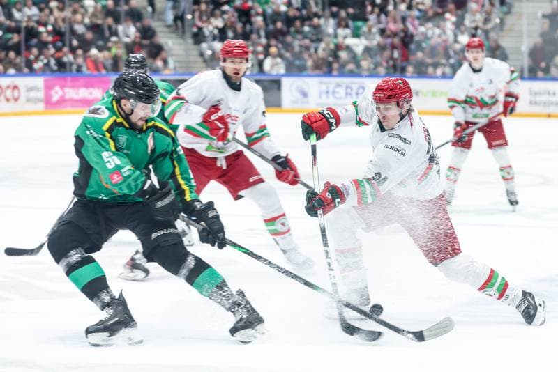 Ice Hockey. Tauron Hokej Liga. ECB Zaglebie Sosnowiec - JKH GKS Jastrzebie. 18.01.2026