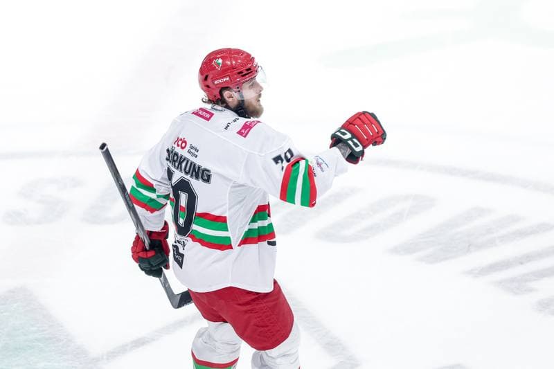 Ice Hockey. Tauron Hokej Liga. ECB Zaglebie Sosnowiec - JKH GKS Jastrzebie. 18.01.2026