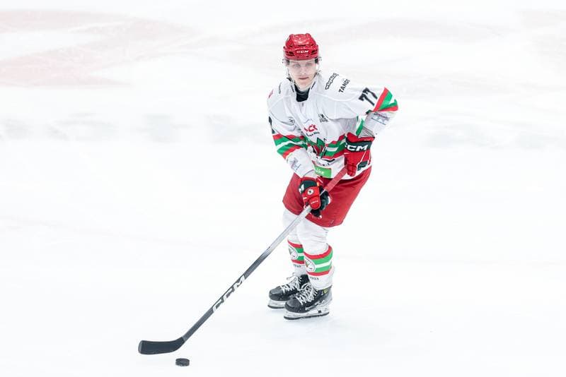 Ice Hockey. Tauron Hokej Liga. ECB Zaglebie Sosnowiec - JKH GKS Jastrzebie. 18.01.2026