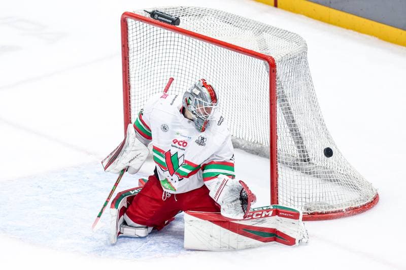 Ice Hockey. Tauron Hokej Liga. ECB Zaglebie Sosnowiec - JKH GKS Jastrzebie. 18.01.2026