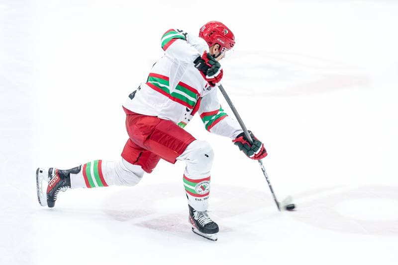 Ice Hockey. Tauron Hokej Liga. ECB Zaglebie Sosnowiec - JKH GKS Jastrzebie. 18.01.2026