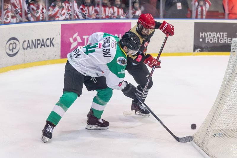 Ice Hockey. Tauron Hokej Liga. Comarch Cracovia - JKH GKS Jastrzebie. 16.01.2026