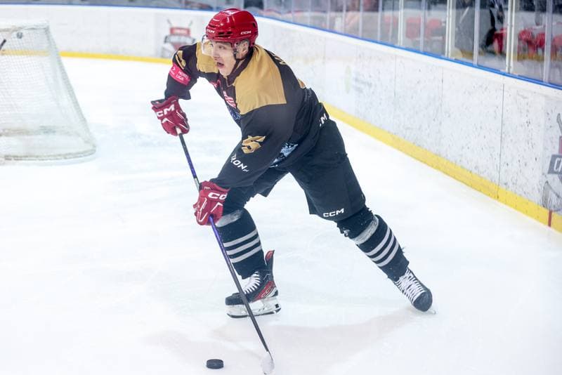 Ice Hockey. Tauron Hokej Liga. Comarch Cracovia - JKH GKS Jastrzebie. 16.01.2026