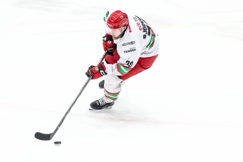Ice Hockey. Tauron Hokej Liga. ECB Zaglebie Sosnowiec - BS Polonia Bytom. 09.01.2026