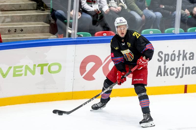Ice Hockey. Tauron Hokej Liga. ECB Zaglebie Sosnowiec - BS Polonia Bytom. 09.01.2026