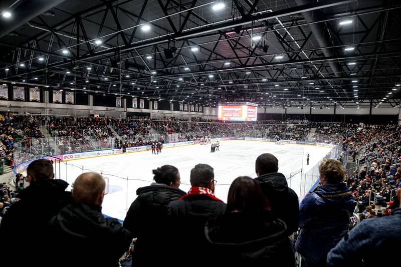 Ice Hockey. Tauron Hokej Liga. ECB Zaglebie Sosnowiec - BS Polonia Bytom. 09.01.2026