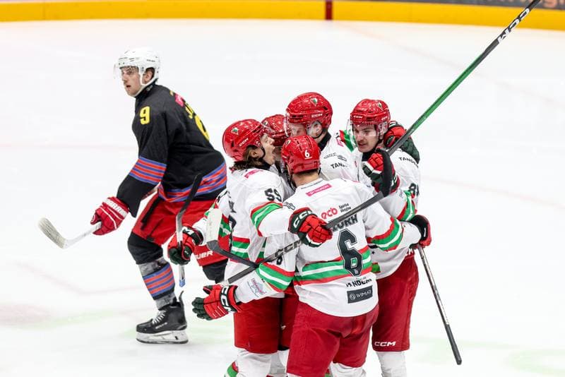 Ice Hockey. Tauron Hokej Liga. ECB Zaglebie Sosnowiec - BS Polonia Bytom. 09.01.2026